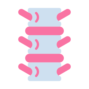 Spine, Bone, Skeleton, Spinal Column, Backbone  icon