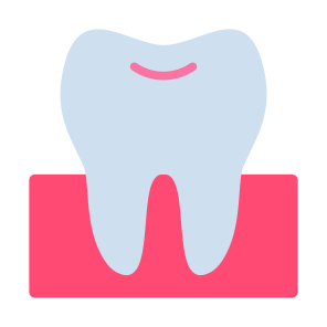Teeth, Tooth, Dentist, Molar, Premolar icon