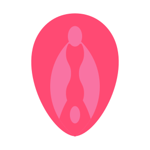 Vagina, Female Organs, Reproductive System, Anatomy, Human Body icon