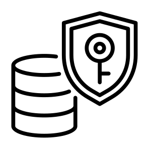 Security Server, Database, Security, Server, Protection, Lock  icon