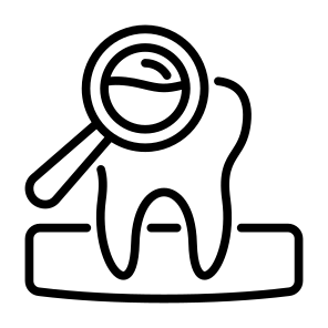 Examining Teeth, Examining, Teeth, Dental Checkup, Checkup, Tooth icon