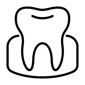 Gum, Anatomy, Dentistry, Enamel, Dental, Tooth  icon