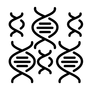 Dna, Biology, Dna Structure, Science, Genetical, Deoxyribonucleic Acid, Healthcare, Medical, Education icon