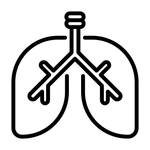 Lung, Body Part, Organ, Human Body, Respiratory System  icon