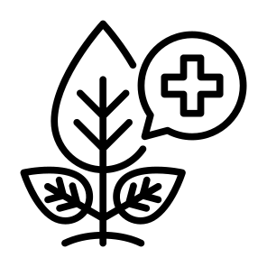 Herb, Nature, Plant, Sprout, Growing Seed  icon