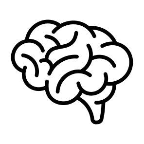 Brain, Human Brain, Body Organ, Neurology, Anatomy  icon