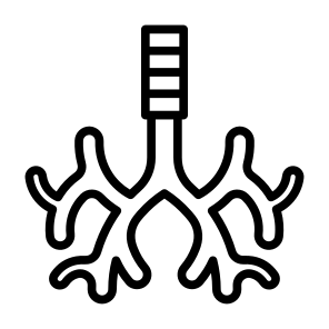 Bronchus, Body Organ, Respiratory System, Trachea, Anatomy icon