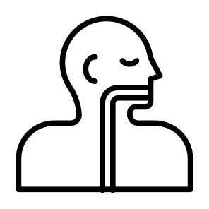 Esophagus, Human Body, Body Parts, Body Organ, Anatomy  icon