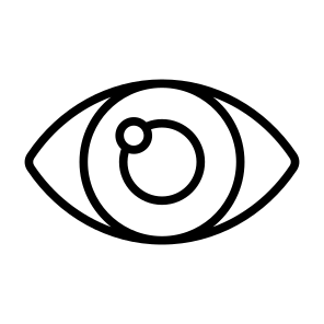 Eye, Body Parts, Anatomy, Ophthalmology, Optical  icon