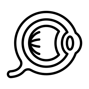 Eyeball, Pupil, Body Parts, Ophthalmology, Retina  icon