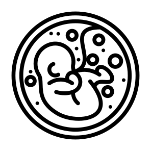Fetus, Pregnant, Reproduction, Fertility, Pregnancy icon