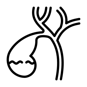 Gallbladder, Body Organ, Anatomy, Digestive System, Bile icon