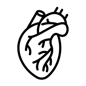 Heart, Organ, Body Parts, Anatomy, Human Body icon