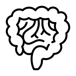 Intestine, Stomach, Bowels, Digestive System, Body Parts icon