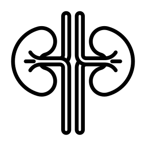 Kidneys, Urology, Human Body, Organ, Anatomy icon