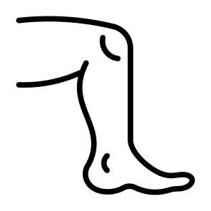 Leg, Knee, Body Part, Human Body, Muscle icon