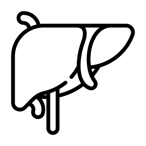 Liver, Organ, Body Organ, Anatomy, Body Part icon