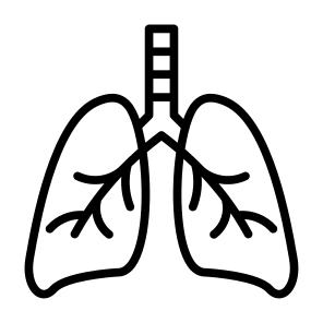 Lungs, Organ, Breath, Anatomy, Healthcare And Medical icon