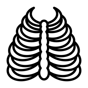 Rib Cage, Bones, Body Part, Skeleton, Human Body  icon
