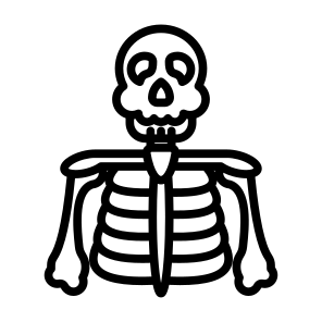 Skeleton, Bones, Skull, Human Body, Anatomy icon