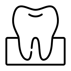 Teeth, Tooth, Dentist, Molar, Premolar icon