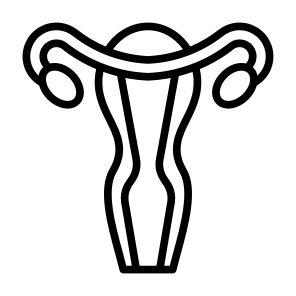Uterus, Female Organs, Reproductive System, Ovaries, Anatomy icon