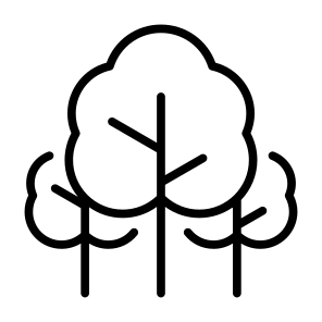 Trees, Forest, Landscape, Woodland, Woods, Ecology And Environment, Pines icon