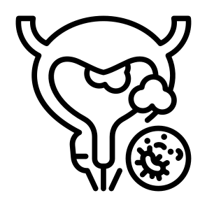 Bladder Cancer, Urology, Prostate Cancer, Bladder, Cancer Cell icon