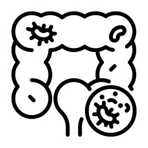 Gastrointestinal, Cancer, Cancer Cell, Colon, Digestive  icon