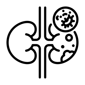 Kidney Cancer, Kidney, Illness, Tumor, Cancer Cell icon