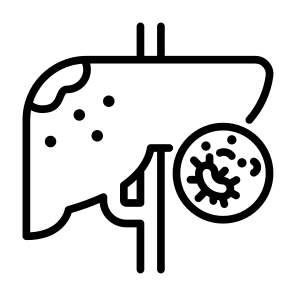 Liver Cancer, Liver, Disease, Cell, Organ icon