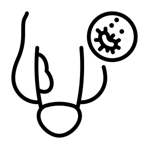 Penile Cancer, Cancer, Penis, Hpv, Cancer Cell icon