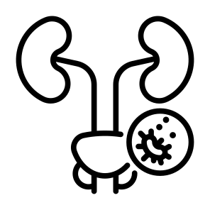 Prostate Cancer, Cancer, Prostate, Tumor, Cancer Cell  icon