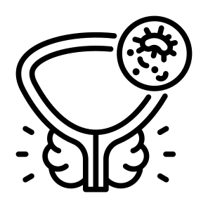 Prostate Cancer, Prostate, Organ, Illness, Cancer Cell icon