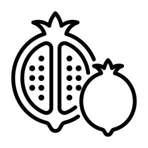 Pomegranate, Fruit, Vegetarian, Healthy Food, Food And Restaurant icon