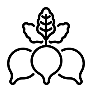 Radish, Vegetable, Vegetarian, Food, Food And Restaurant icon