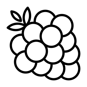 Raspberry, Fruit, Vegetarian, Healthy Food, Food And Restaurant icon