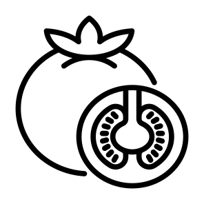 Tomato, Vegetable, Vegetarian, Food, Food And Restaurant icon