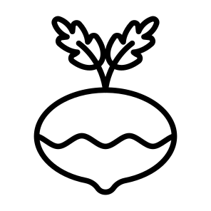 Turnip, Vegetable, Vegetarian, Healthy Food, Food And Restaurant icon