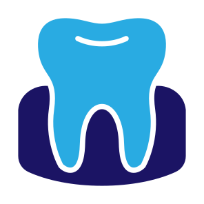Gum, Anatomy, Dentistry, Enamel, Dental, Tooth  icon