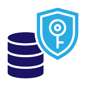 Security Server, Database, Security, Server, Protection, Lock  icon