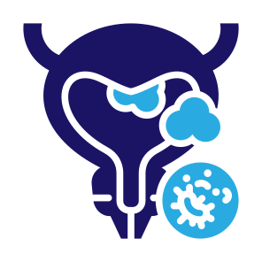 Bladder Cancer, Urology, Prostate Cancer, Bladder, Cancer Cell icon