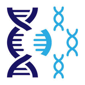 Genetic Mutation, Gene, Mutation, Genetical, Gene Mutation  icon