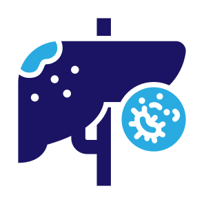 Liver Cancer, Liver, Disease, Cell, Organ icon
