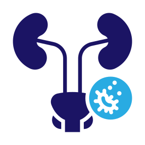 Prostate Cancer, Cancer, Prostate, Tumor, Cancer Cell  icon