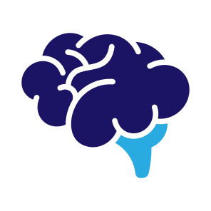 Brain, Human Brain, Body Organ, Neurology, Anatomy  icon