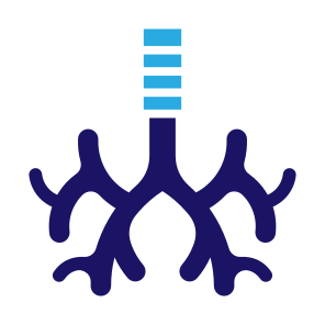 Bronchus, Body Organ, Respiratory System, Trachea, Anatomy icon