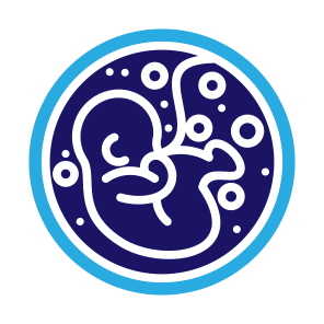 Fetus, Pregnant, Reproduction, Fertility, Pregnancy icon