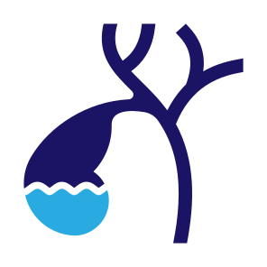 Gallbladder, Body Organ, Anatomy, Digestive System, Bile icon