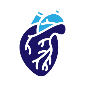 Heart, Organ, Body Parts, Anatomy, Human Body icon